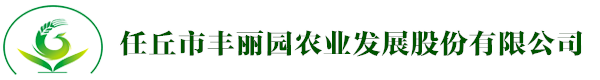 @ľWվQ